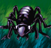 Big Insect