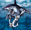 Great White