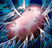 Cocoon of Evolution