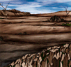 Wasteland