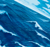 Umi