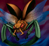 Insect Soldiers of the Sky