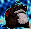 Turtle Raccoon