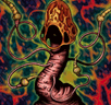 Fungi of the Musk