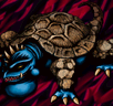 Boulder Tortoise