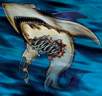 Corroding Shark