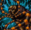 Hunter Spider