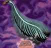 Harpie's Feather Duster